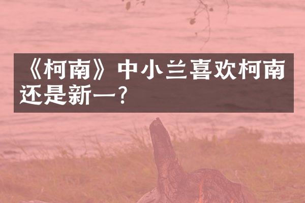 《柯南》中小兰喜欢柯南还是新一？