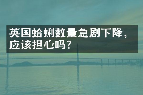英国蛤蜊数量急剧下降，应该担心吗？