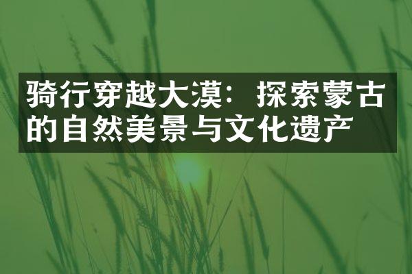骑行穿越大漠：探索蒙古的自然美景与文化遗产