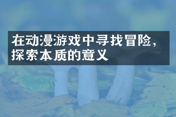 在动漫游戏中寻找冒险，探索本质的意义