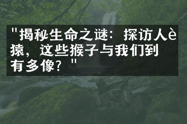 "揭秘生命之谜：探访人脸猿，这些猴子与我们到底有多像？"