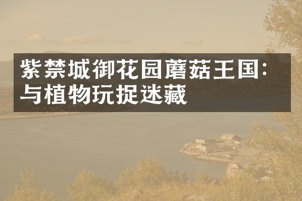 紫禁城御花园蘑菇王国：与植物玩捉迷藏