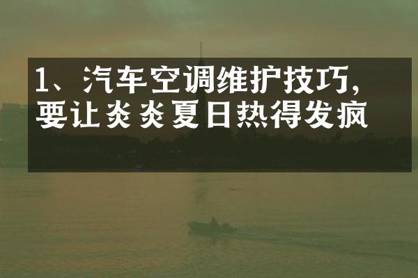 1、汽车空调维护技巧，不要让炎炎夏日热得发疯！