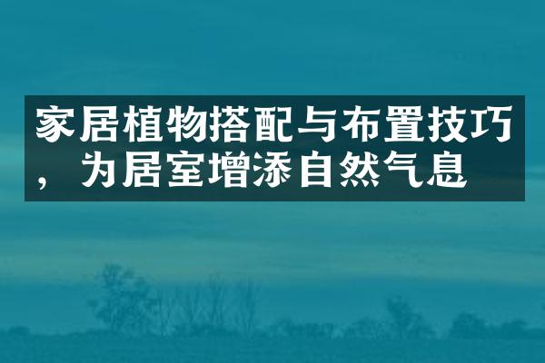 家居植物搭配与布置技巧，为居室增添自然气息