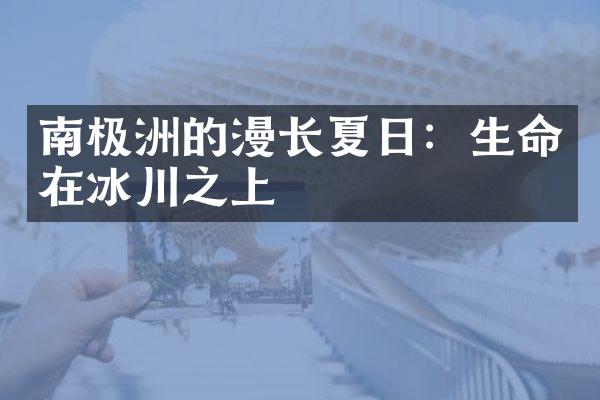 南极洲的漫长夏日：生命在冰川之上