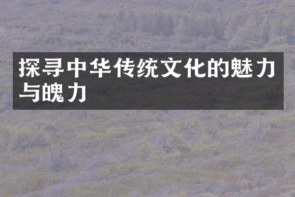 探寻中华传统文化的魅力与魄力