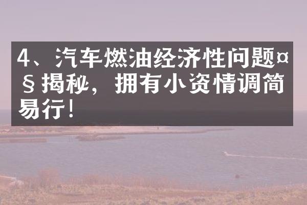 4、汽车燃油经济性问题大揭秘，拥有小资情调简单易行！