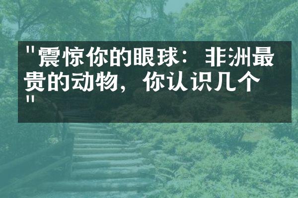 "震惊你的眼球：非洲最珍贵的动物，你认识几个？"
