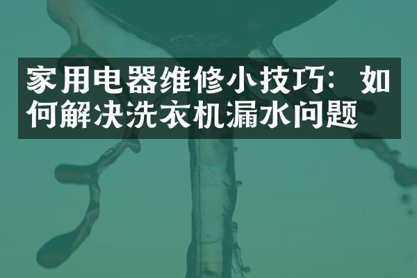 家用电器维修小技巧：如何解决洗衣机漏水问题？