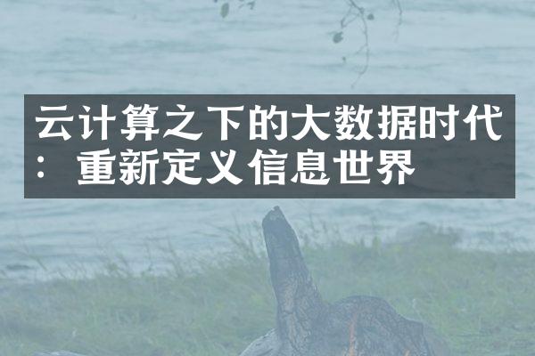 云计算之下的大数据时代：重新定义信息世界