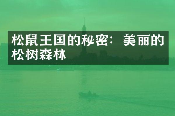 松鼠王国的秘密：美丽的松树森林