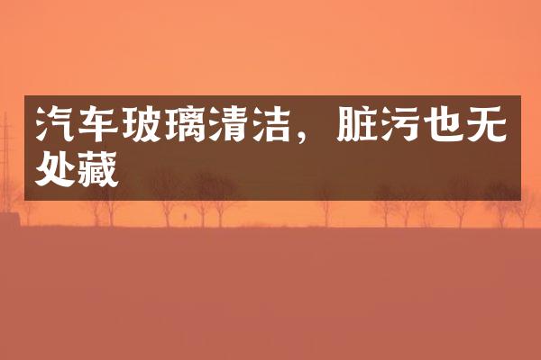 汽车玻璃清洁，脏污也无处藏