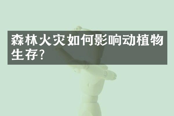 森林火灾如何影响动植物生存？