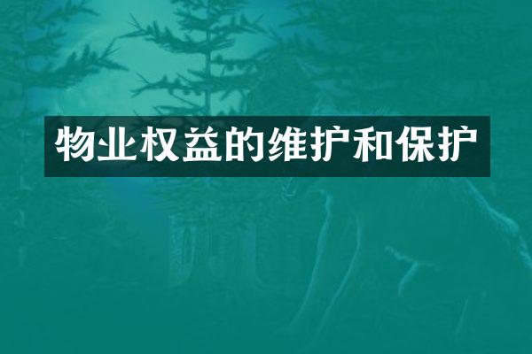 物业权益的维护和保护