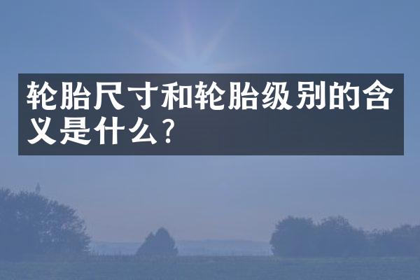 轮胎尺寸和轮胎级别的含义是什么？