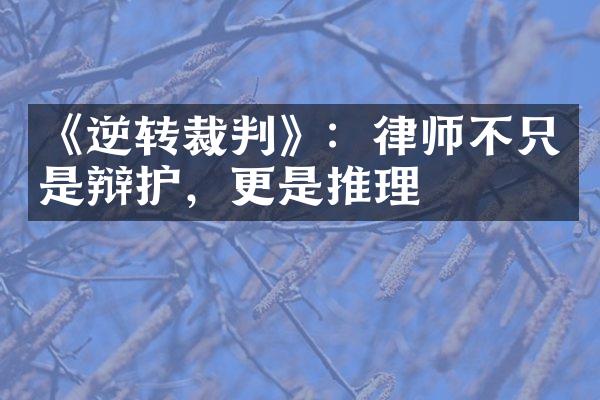 《逆转裁判》：律师不只是辩护，更是推理