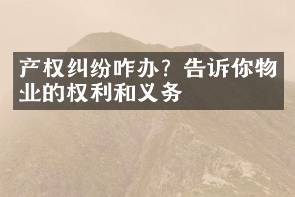 产权纠纷咋办？告诉你物业的权利和义务