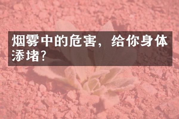 烟雾中的危害，给你身体添堵？