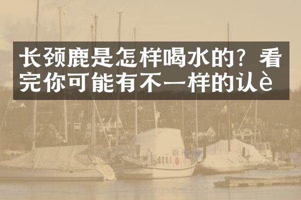 长颈鹿是怎样喝水的？看完你可能有不一样的认识