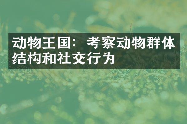 动物王国：考察动物群体结构和社交行为
