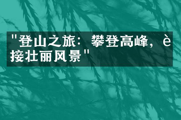"登山之旅：攀登高峰，迎接壮丽风景"