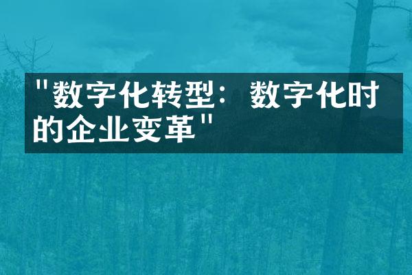 "数字化转型：数字化时代的企业变革"