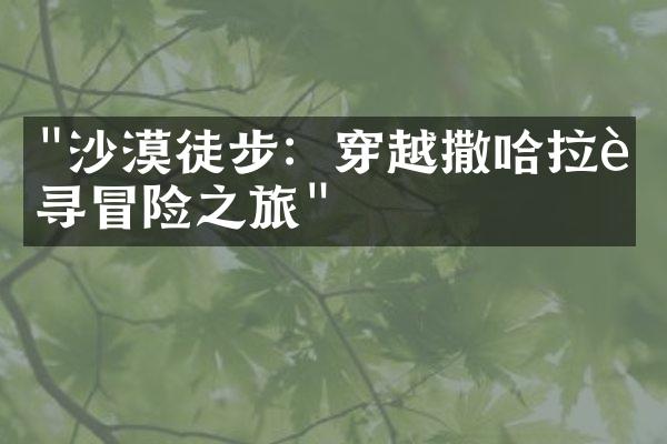"沙漠徒步：穿越撒哈拉追寻冒险之旅"