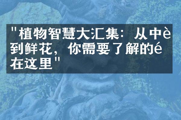 "植物智慧大汇集：从中药到鲜花，你需要了解的都在这里"