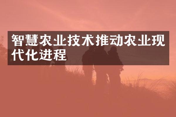 智慧农业技术推动农业现代化进程