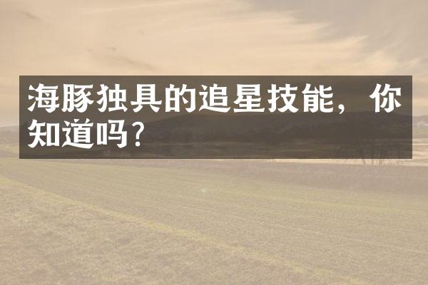 海豚独具的追星技能，你知道吗？