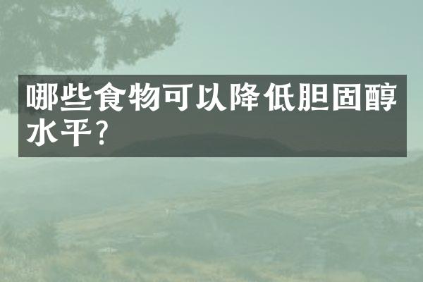 哪些食物可以降低胆固醇水平？