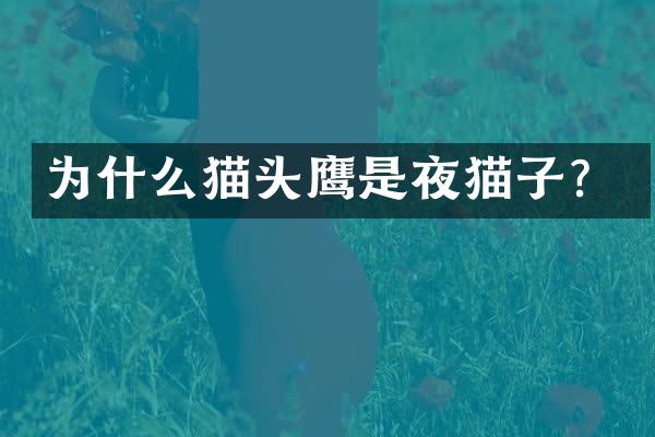 为什么猫头鹰是夜猫子？