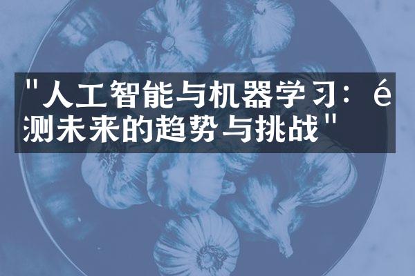 "人工智能与机器学习：预测未来的趋势与挑战"