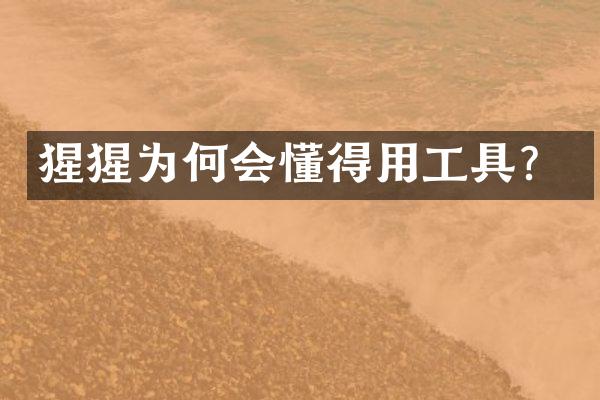 猩猩为何会懂得用工具？