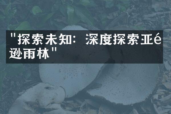 "探索未知：深度探索亚马逊雨林"