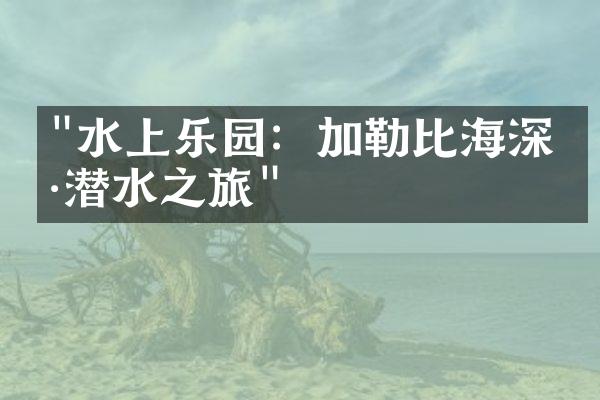 "水上乐园：加勒比海深海潜水之旅"