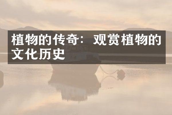 植物的传奇：观赏植物的文化历史