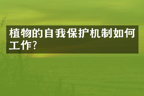 植物的自我保护机制如何工作？