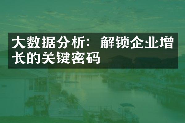 大数据分析：解锁企业增长的关键密码