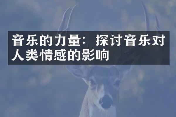 音乐的力量：探讨音乐对人类情感的影响