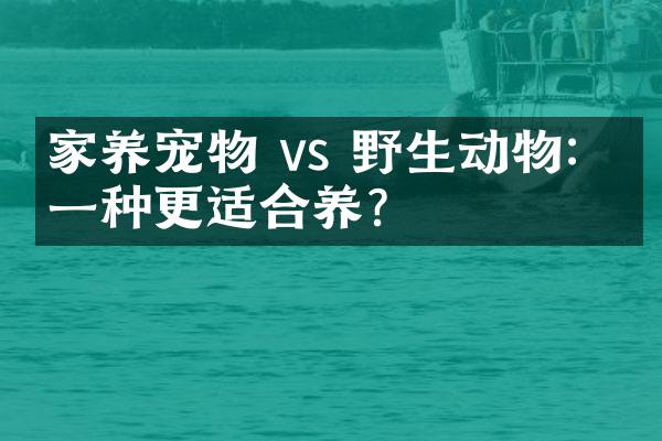 家养宠物 vs 野生动物：哪一种更适合养？
