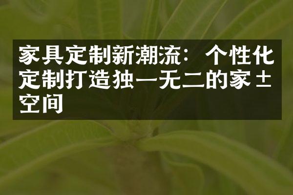 家具定制新潮流：个性化定制打造独一无二的家居空间