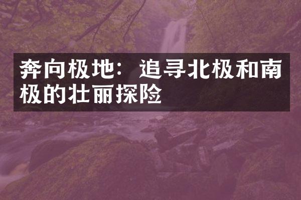 奔向极地：追寻北极和南极的壮丽探险