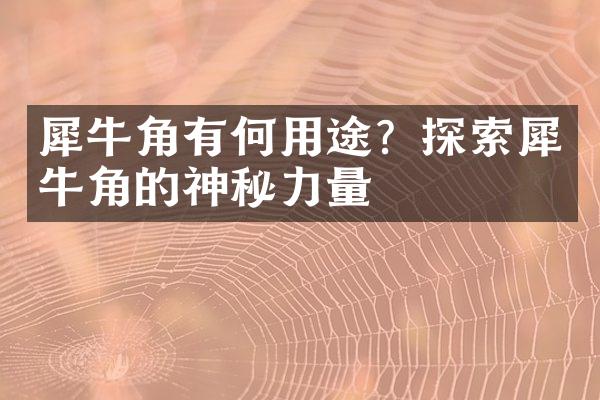 犀牛角有何用途？探索犀牛角的神秘力量