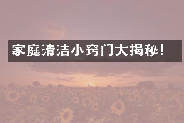 家庭清洁小窍门大揭秘！