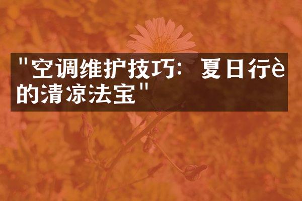 "空调维护技巧：夏日行车的清凉法宝"