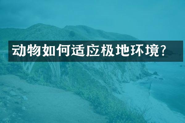 动物如何适应极地环境？