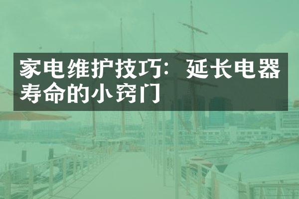 家电维护技巧：延长电器寿命的小窍门