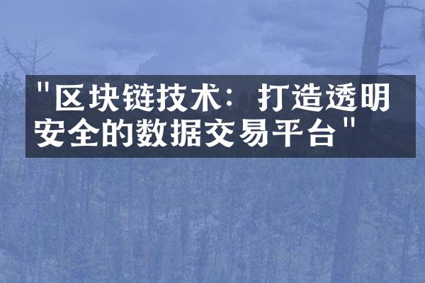 "区块链技术：打造透明、安全的数据交易平台"