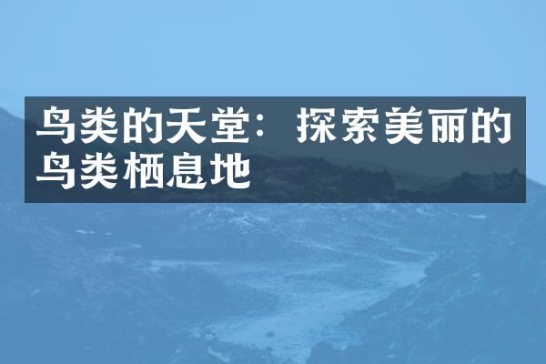 鸟类的天堂：探索美丽的鸟类栖息地